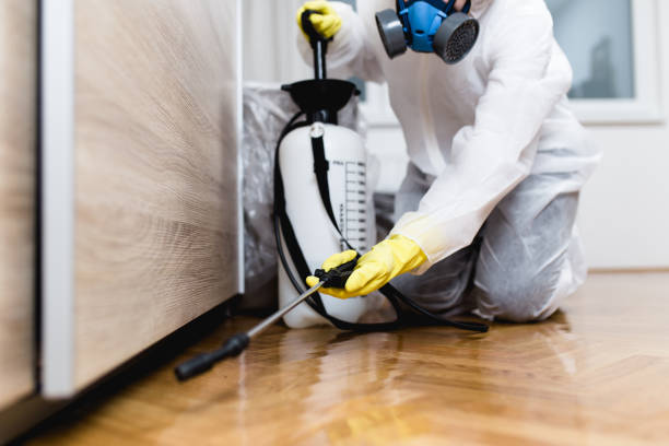 Professional Pest Control in St Bonifacius, MN
