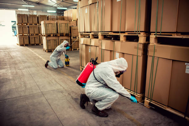 Best Bed Bug Extermination  in St Bonifacius, MN