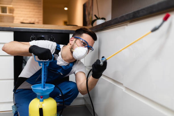 Best Best Pest Control Companies  in St Bonifacius, MN