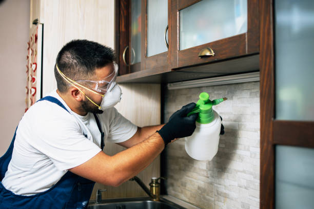 Best Mosquito Control Services  in St Bonifacius, MN
