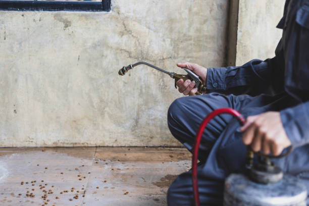 Best Pest Control Near Me in St Bonifacius, MN